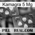 Kamagra 5 Mg 15